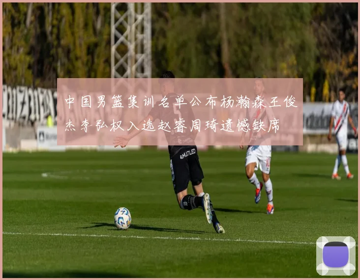 中国男篮集训名单公布杨瀚森王俊杰李弘权入选赵睿周琦遗憾缺席
