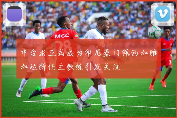 申台龙正式成为印尼豪门佩西加雅加达新任主教练引发关注